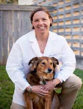 Laura Barnes, DVM, DACVO